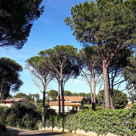 Invit Arti Apartmán Capoterra